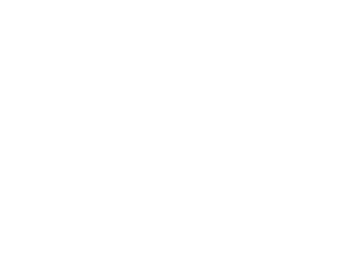 pionieer2
